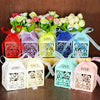 Rose Pink Love Bird Luxury Favour Boxes With Organza Ribbons - 20 pcs
