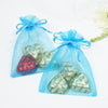 Aqua Organza Favour Bags - Pack of 10