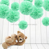 Mint Tissue Paper Pompoms Flower Ball (Single Pack)