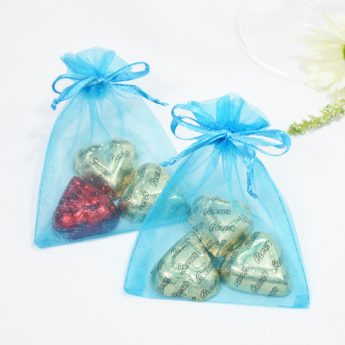 Aqua Organza Favour Bags - Pack of 10