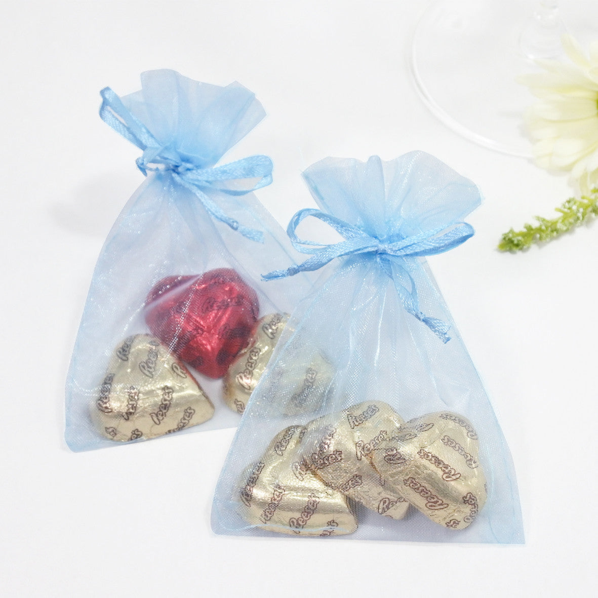 Baby Blue Organza Favour Bags - Pack of 10