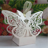 Ivory / Cream Butterfly Luxury Favour Boxes With Organza Ribbons - 20 pcs