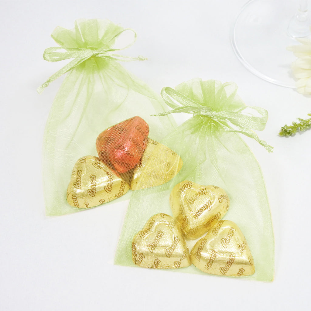 Kiwi Organza Favour Bags - Pack of 10