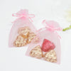 Baby Pink Organza Favour Bags - Pack of 10