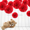 Red Tissue Paper Pompoms Flower Ball (Single Pack)