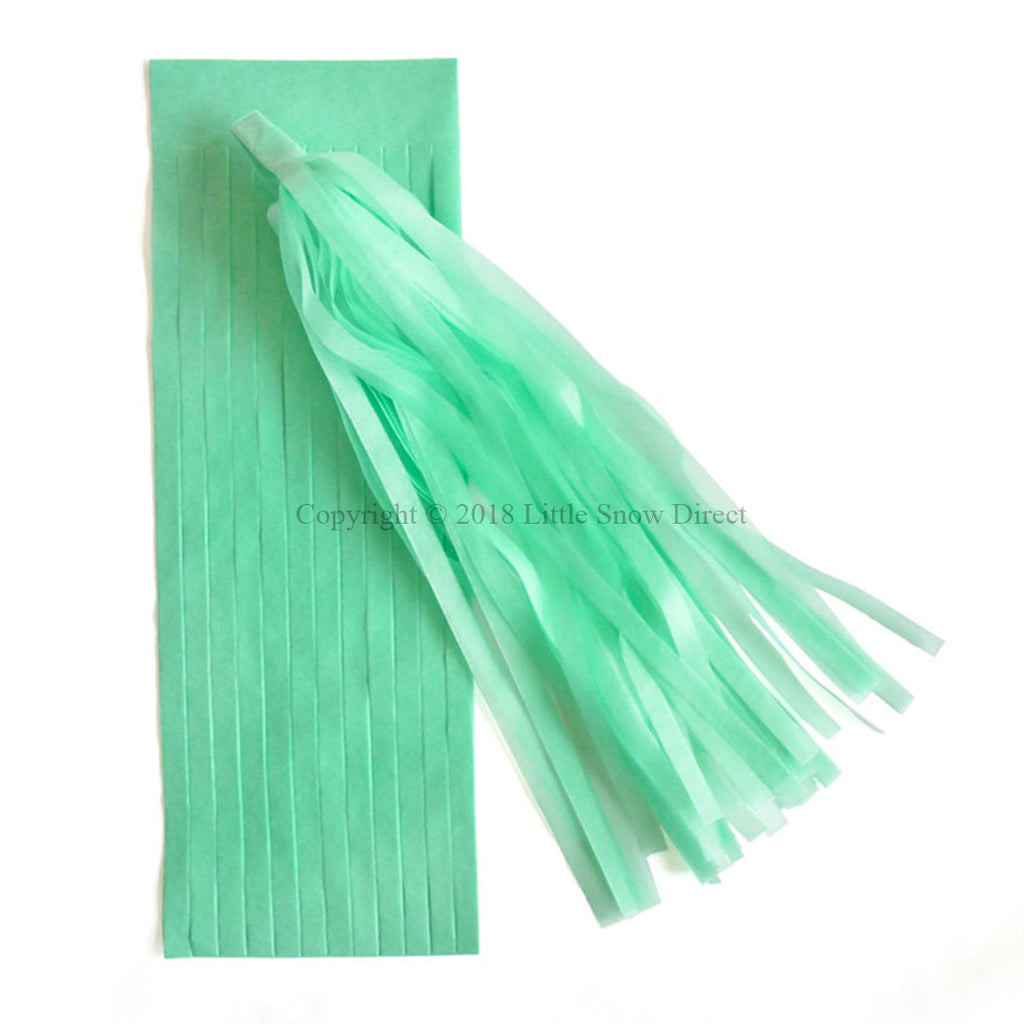 5pcs Tassels Garland Tissue Paper Bunting - Mint